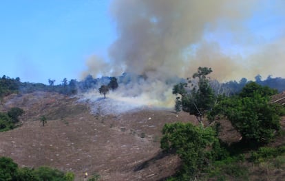 Paisaje en la autopista México - Tuxpan, incendio provocado en selva.