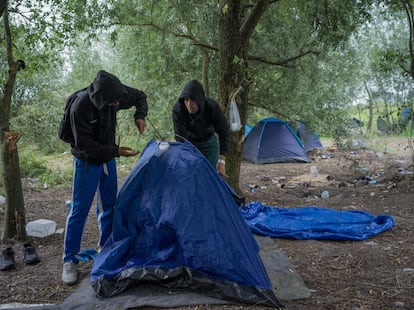 Two Afghan survivors of a shipwreck in the English Channel prepare tents for the night in the forest where they are hiding, waiting for their chance to try again to cross into the U.K. at Calais, France, on August 17, 2023.