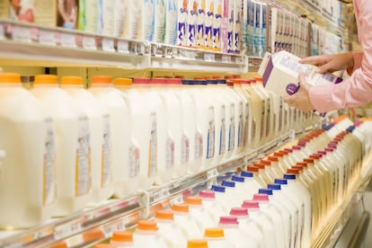 <p>Hasta hace dos telediarios (en 2013 sin ir más lejos), comprar leche era un acto sencillo. Entera, semidesnatada o desnatada, <a href="https://eur-lex.europa.eu/legal-content/ES/TXT/HTML/?uri=CELEX:32013R1308&from=ES" rel="nofollow" target="_blank">según la ley leche era todo aquel producto que salía de las ubres de la vaca (o de la oveja, burra o camella), con más o menos nata</a>. Hasta ahí se podía leer, aunque ya entonces se previó (y permitió) el uso de ciertos apellidos "para designar el tipo, la clase cualitativa, el origen o la utilización a que se destina la leche, o para describir el tratamiento físico al que se la haya sometido o las modificaciones que haya sufrido en su composición, siempre que dichas modificaciones se limiten a la adición o extracción de sus componentes naturales". Esto explica el por qué aquellas a las que añaden omega 3 (como <a href="https://www.lechepuleva.es/productos/puleva-omega-3" rel="nofollow" target="_blank">Puleva Omega 3</a>), fibra (como <a href="https://www.lechecelta.com/productos/fibra/leche-con-fibra" rel="nofollow" target="_blank">Celta Fibra Sin Gluten</a>) o cereales (<a href="https://www.lechepuleva.es/productos/puleva-peques-3-con-cereales" rel="nofollow" target="_blank">Puleva Max</a>), a partir de ese momento debieron venderse como 'preparados lácteos' o 'bebida láctea', sin que la palabra ‘leche’ apareciera en el envase (aunque sigan teniéndola como ingrediente base).</p> <p>Dicha ley, en cambio, otorgó acomodo a la numerosa retahíla de apellidos que últimamente se le añaden a las etiquetas de este elixir vacuno: 'eco', 'de bienestar animal', 'de pastoreo'… <strong>El consumidor hoy quiere saber mucho más: si quienes cuidan de las vacas están bien pagados, en qué condiciones viven (animales y dueños)</strong>, de qué calidad son los pastos que los alimentan, si se utilizan métodos modernos para tratar enfermedades o confían en métodos más tradicionales, si la industria cuida del pequeño ganadero a quien compra toda su producción, si les ayudan a mejorar la calidad de vida y la herencia genética de las cabezas de ganado… Así lo asegura Mintel, una consultora mundial, en su informe sobre tendencias en alimentación y bebidas de 2018.</p>