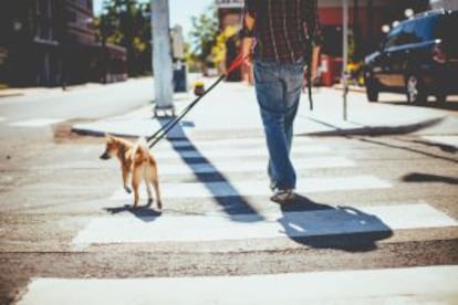 Un paseante con su perrito en París (Texas).