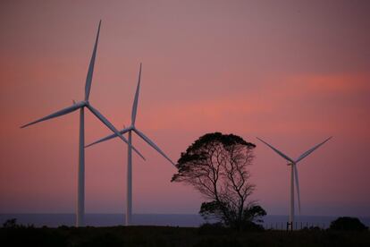 Amanecer en el parque eólico de la bahía de Jeffreys en Sudáfrica.