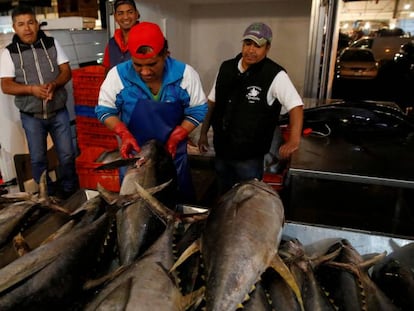 Un trabajador revisa la calidad del atún en un mercado de Ciudad de México.