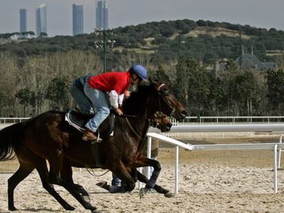 Entrenamiento en el hip&oacute;dromo de la Zarzuela, en una imagen de archivo. 