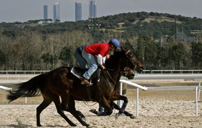 Entrenamiento en el hipódromo de la Zarzuela, en una imagen de archivo.