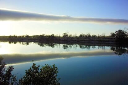 Una nube Morning Glory sobre el r&iacute;o Albert en Australia.
