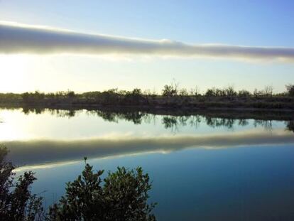 Una nube Morning Glory sobre el r&iacute;o Albert en Australia.