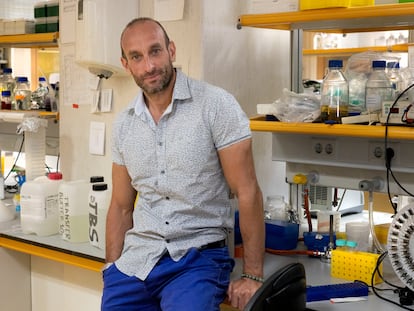 El farmacólogo francés Nabil Djouder, en el Centro Nacional de Investigaciones Oncológicas, en Madrid.