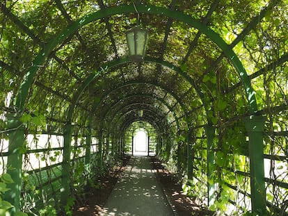 Un túnel de verdor proporciona una sombra perfecta para pasear.
