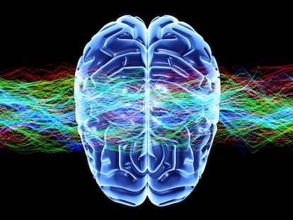 Los dos lados del cerebro para ser más ágiles y competitivos