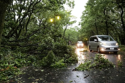 Um carro desvia dos galhos de uma árvore caída por causa dos fortes ventos do tufão Jebi, em Nagoya (Japão).