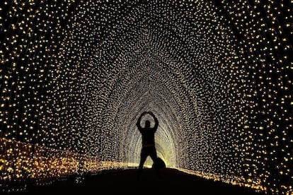 Un hombre toma una foto dentro de la 'catedral de la luz' en el Real Jardín Botánico en Sídney, Australia.