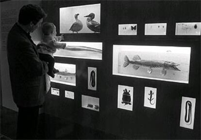 Un aspecto de la exposición <i>Como pez en el agua</i>, en el Museo Nacional de Ciencias Naturales, de Madrid, en 1996.