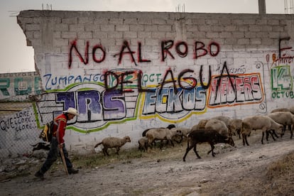 Pintas en una calle de Pueblo Nuevo de San Pedro.