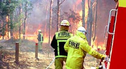 Los bomberos tratan de controlar las llamas en la localidad de Glenbrook, en las afueras de Sydney.