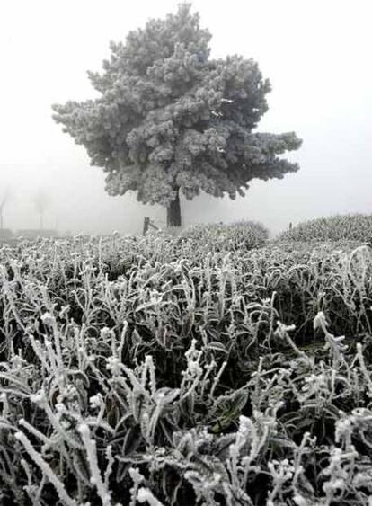 Estampa invernal en Holanda