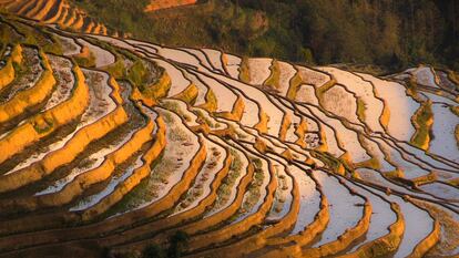 El momento más bello para fotografiar las terrazas de arroz de Yuanyang es al atardecer, cuando las luces del ocaso colorean de oro el agua de las balsas. Las facilidades para el turismo han crecido enormemente en la zona desde su inclusión en la lista de la Unesco. Hay muchos restaurantes, casas de huéspedes y hoteles sencillos en los pueblos que componen la ruta: Duoy i Shu, Dayutang, Xingjie Zhen.