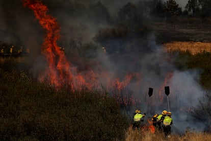 Varios bomberos luchan contra las llamas en Abejera de Tabara (Zamora).