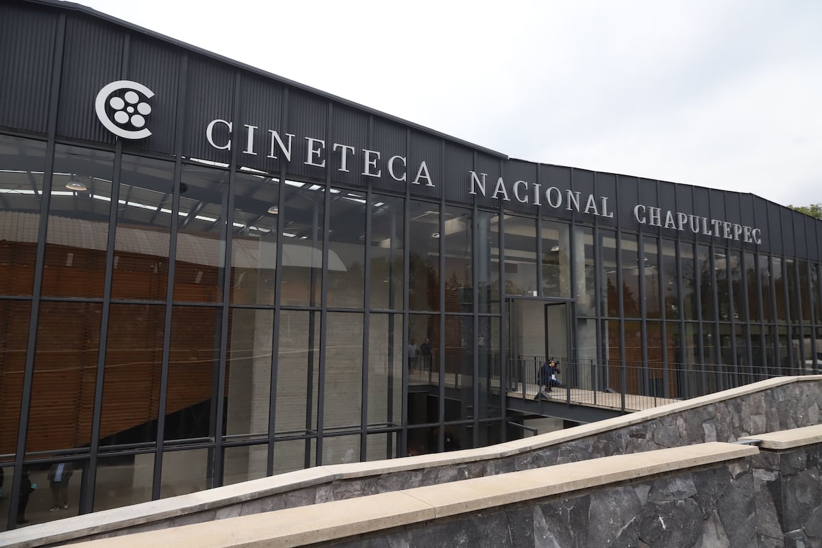 Chapultepec Cinematheque: what it is like, how to get there, prices and free programming