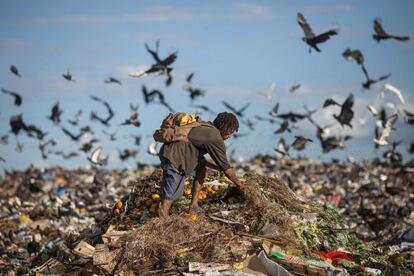Uno de los 'catadores de lixo', recolectores de materiales reciclables, en el mayor basurero de Latinoamérica, que el sábado cerrará para siempre, en Brasilia (Brasil).
