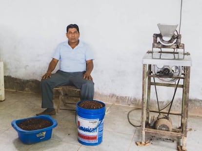 Gabriel Sangama, en su finca rodeado de cacao.