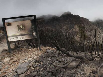 Aspecto del parque natural de Garajonay, en La Gomera, tras el incendio.