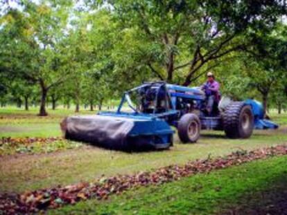 El Gobierno destina cinco millones a la renovación del parque de tractores