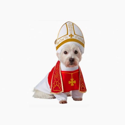 El santo disfraz de papa perruno, con capa roja y gorra blanca. Una forma, extraña e inquietante, de honrar a Sorrentino. A partir de 29,99 € en Funidelia, y para chuchos de todos los tamaños.