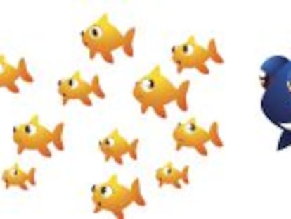 Vuelven las opas... ocho valores candidatos