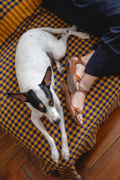 Perro de Elsa Fernández-Santos