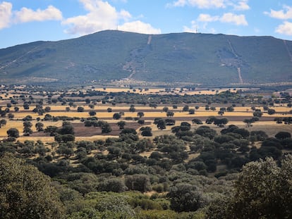 Las Ensanchas (Ciudad Real), finca que ha trabajado con CBD-Hábitat en lograr una gestión sostenible.