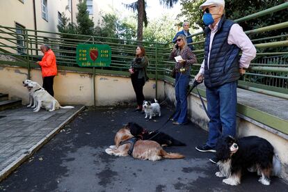 Varios perros esperaban a sus dueños en el exterior de un colegio electoral, en Roma. Según los primeros análisis, la afluencia ha crecido respecto a 2018 en las regiones del norte: Lombardía, Toscana y Emilia-Romaña, mientras que desciende en el sur, sobre todo en Molise, Campania y Cerdeña.
