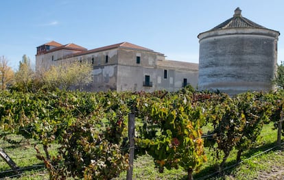 Viñedo del monasterio La Mejorada, en Valladolid.