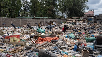 Mountains of garbage at the Dandora landfill (Nairobi, Kenya).