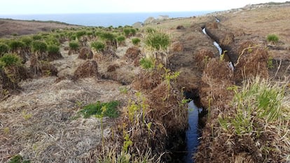 Imagen tomada en 2019 de los desbroces y de un drenaje del humedal situado junto a la base americana y el observatorio de aves (al fondo).