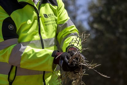 Las plantas de generación eléctrica renovable también ayudan a fomentar el trabajo en los medios rurales.