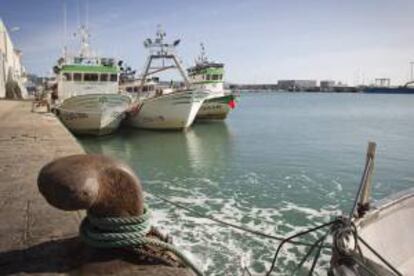 Barcos de la flota de Barbate (Cádiz) que faenaban en aguas de Marruecos, amarrados a puerto ante la falta de acuerdo con el país marroquí, para pescar en sus aguas. EFE/Archivo