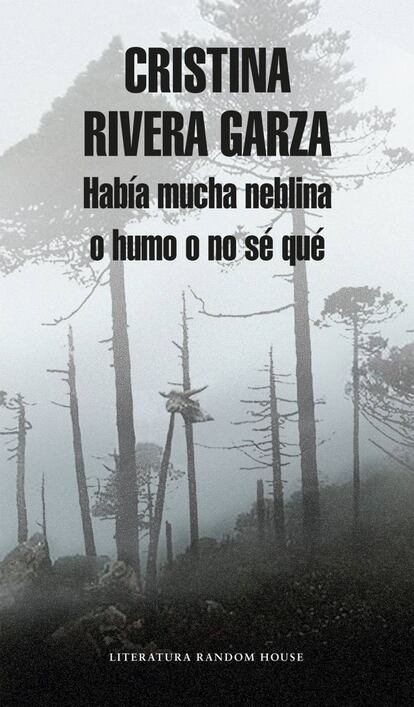 'Había mucha neblina o humo o no sé qué', de Cristina Rivera Garza (Literatura Random House), libro de bien documentada invención, explora la breve pero trascendental obra literaria de Juan Rulfo en su centenario de nacimiento, desde una perspectiva múltiple que nos lleva por los caminos del México profundo que el escritor anduvo en su afán callado de ganarse la vida, autor de guías del turismo, propagandista oficial, fotógrafo de paisajes, retratista de gentes, vendedor de llantas, el Juan Nepomuceno que hablaba con los muertos que hablan desde sus tumbas; pero que es también la exploración de la autora sobre su propio México, un reportaje desgarrado, un diario de viaje doble por una tierra misteriosa y doliente que es de ambos.