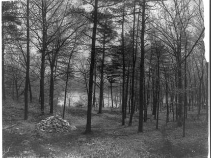 El lago Walden en Concord, Massachusetts, donde se encontraba la cabaña de Thoreau.