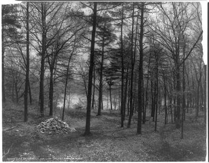 El lago Walden en Concord, Massachusetts, donde se encontraba la cabaña de Thoreau.