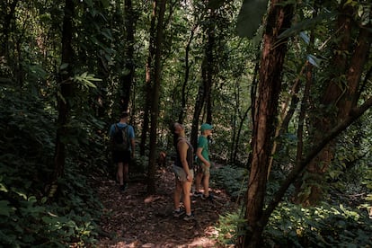 Turistas caminan por uno de los senderos del parque.