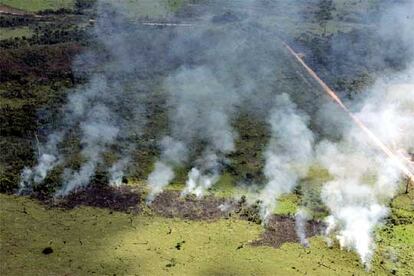 Los grupos ecologistas han puesto el grito en el cielo ante estas alarmantes cifras, que se presentan un año después de que el Gobierno de Brasil anunciara un paquete de medidas de 140 millones de dólares para reducir la deforestación en el Amazonas.