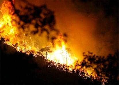 Las llamas han devorado 200 hectáreas de bosque en la zona de L'Ardenya.