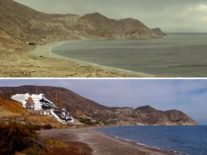 El Algarrobico