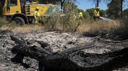 Bomberos del Infoca, en el incendio de Doñana.