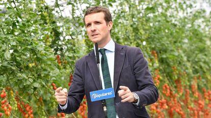 El presidente del PP, Pablo Casado, en un acto en Almería.