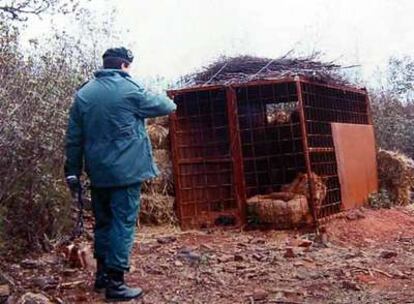 Un guardia civil señala la jaula con un león en la finca de Badajoz.