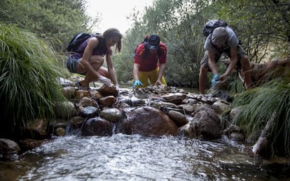 Miembros de la Plataforma SOS Pedriza limpian el r&iacute;o Manzanares.