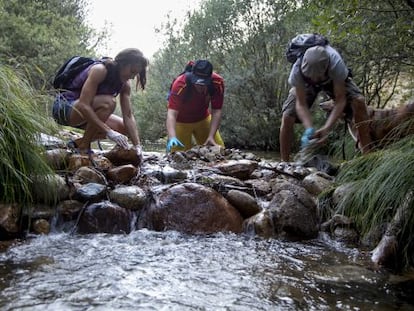 Miembros de la Plataforma SOS Pedriza limpian el r&iacute;o Manzanares.