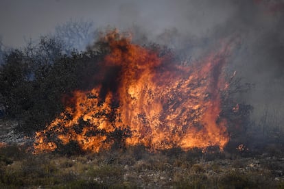 Las llamas arrasan este viernes los alrededores de la localidad francesa de Tarascon.