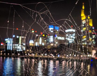 El distrito financiero de Frankfurt (Alemania) iluminado por la noche, es visto a través de una tela de araña.